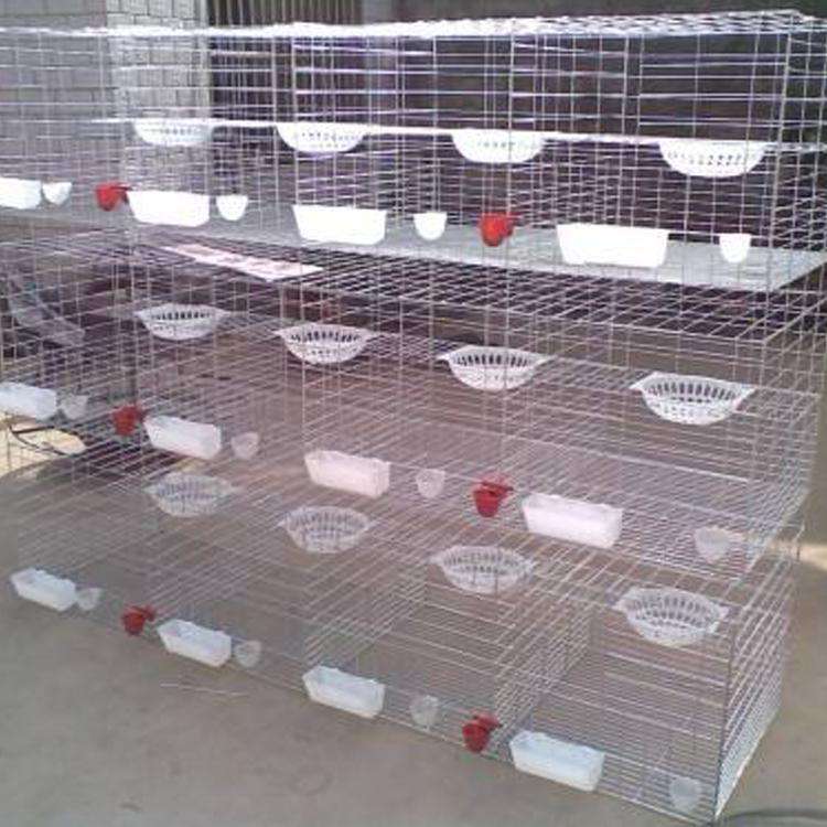 养殖场鸽子笼,现货供应,可定制,专注生产鸽子笼,20年老厂